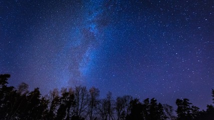 Obraz premium Beautiful night sky with Milky Way over forest.