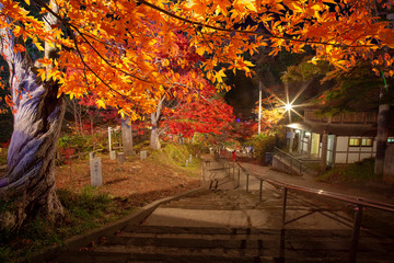 The Oirase Gorge beautiful river druing the autumn season, Japan
