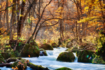 The Oirase Gorge beautiful river druing the autumn season, Japan