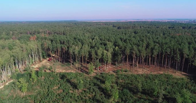Logging aerial view, A lumberjack operating a logging machine in a pine forest. Forest Industry. A cut-to-length (CTL) forest harvester. Forest Wheeled Harvester. Forestry Equipment. Logging Equipment