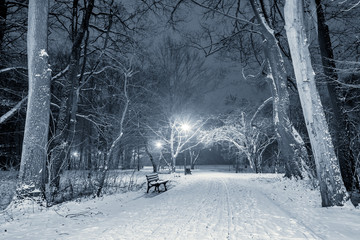 park zimą w nocy Wyspa Bolko w Opolu