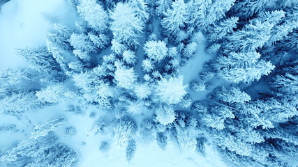 Winterwonderland Engadin