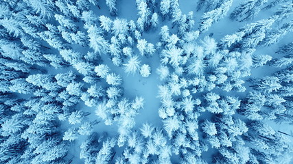 Winterwonderland Engadin