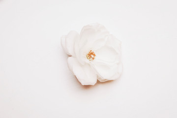 Closeup of single white rose flower with water droplets on old wooden table background. Feminine wedding, birthday still life scene. Floral flat lay, top view.