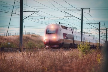train, field, over, passes, leuven, thalys, liege, white, railway, railroad, nature, people, sky,...