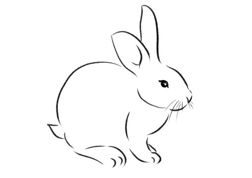 How to Draw a Rabbit  Easy Drawing Art  Easy bunny drawing Rabbit drawing  easy Rabbit drawing