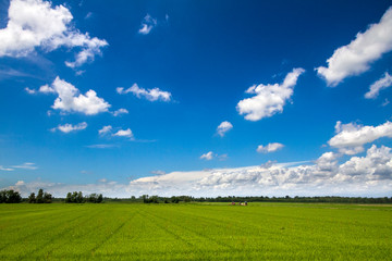 Piemonte e Lago Maggiore, Panorami