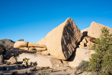 Joshua Tree National Park