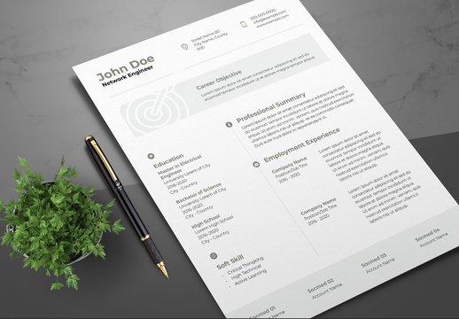 Resume Layout with Gray Accents and Bullseye Illustration