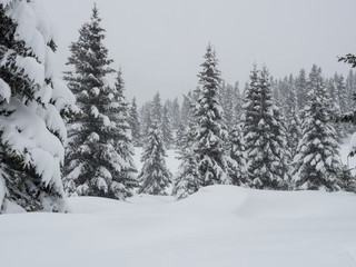 Trekkin in Passo Coe, Trentino Alto Adige
