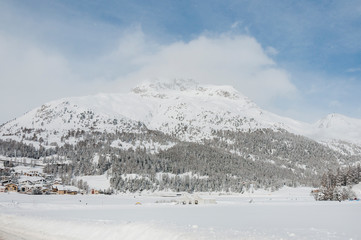 Fototapeta na wymiar Silvaplana, Champfèr, Champfèrsee, Langlauf, Langlaufloipe, Alpen, Oberengadin, Graubünden, Winter, Wintersport, Schweiz