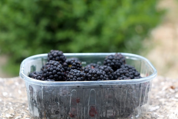 Fototapeta na wymiar Pack of fresh blackberries outdoor. Selective focus.