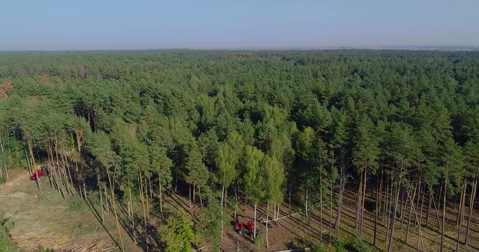 A lumberjack operating a logging machine in a pine forest. Forest Industry. A cut-to-length (CTL) forest harvester. Forest Wheeled Harvester. Forestry Equipment. Logging Equipment. From above