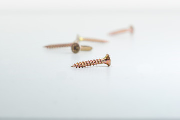 Bunch of screws/nails on the bright background. Screw isolated.