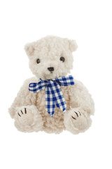 teddy bear isolated on white background