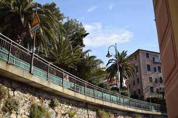 Fototapeta na wymiar bridge in Camogli