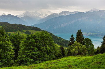 Fototapeta na wymiar Lake Brienz summer top view (Switzerland).