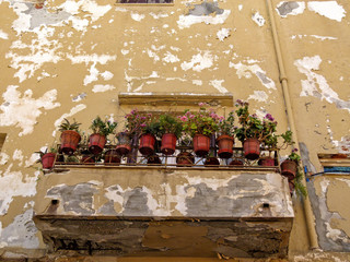 Old plant potted balcony, Crete
