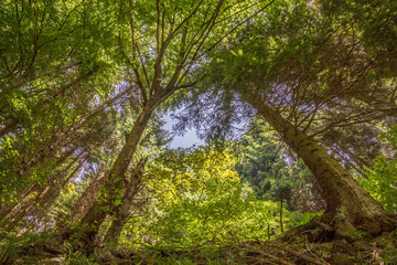 Obraz premium Valle Imagna (Bergamo, Lombardia)