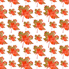 A pattern of  maple