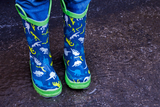 Blue Rain Boots On Poodle