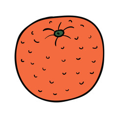 Cartoon doodle linear orange isolated on white background. Vector illustration. 