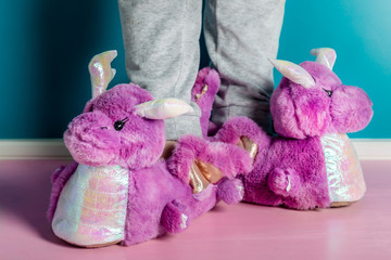 Young girl is wearing cute soft 3d dragon slippers
