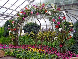 Beautiful flower Garland in the greenhouse