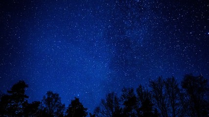 Night sky over rural landscape.