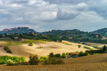 Fototapeta na wymiar Autumn in Italy. Yellow plowed hills of Tuscany with interesting shadows and lines