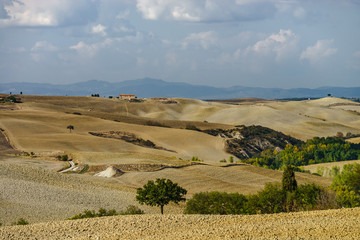 Autumn in Italy. Yellow plowed hills of Tuscany with interesting shadows and lines