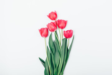 Bouquet of beautiful pink tulip flowers