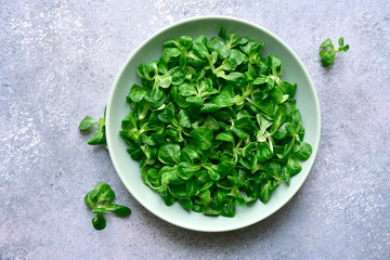 Fresh lamb lettuce salad.Top view with copy space. © lilechka75