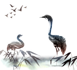 Obraz premium Illustration of heron