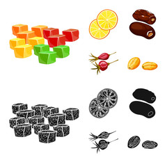 Isolated object of food  and raw  sign. Collection of food  and nature   vector icon for stock.