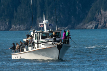 Salmon fishing along the Alaska coast;  Kenai Fjords NP;  Alaska