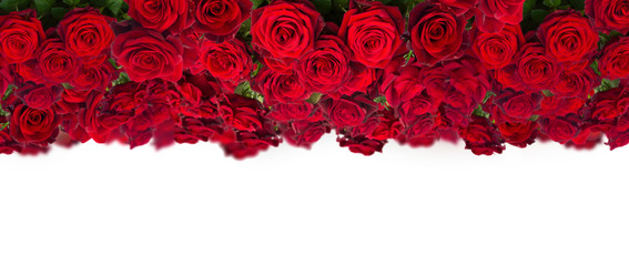 bouquet of dark  red roses  close up