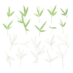 Beautiful hand drawn botanical vector illustration with bamboo leaves. Isolated on white background.