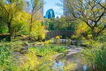 Photo sur Plexiglas Pont de Gapstow Beautiful autumn day in Central Park - New York, USA
