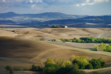 Fototapeta na wymiar Autumn in Italy. Yellow plowed hills of Tuscany with interesting shadows and lines