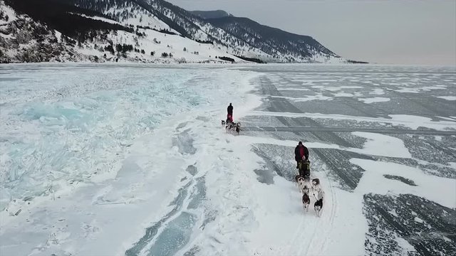 Drone shot following a dog team on lake Baikal.