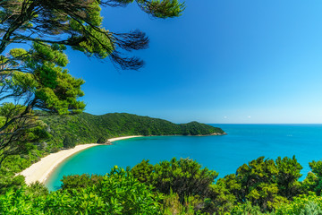 panorama of a beach, abel tasman national park, new zealand 3