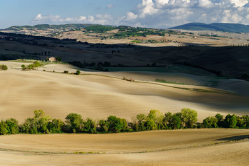 Autumn in Italy. Yellow plowed hills of Tuscany with interesting shadows and lines