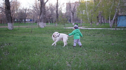 Little boy in the autumn park lawn with white dog