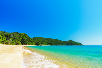 Fototapeta premium tropical beach in abel tasman national park, new zealand 39