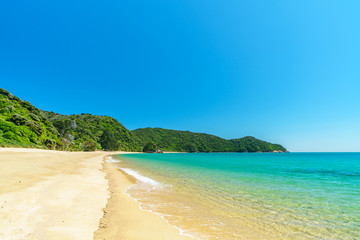 Fototapeta na wymiar tropical beach in abel tasman national park, new zealand 41