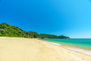 Fototapeta na wymiar tropical beach in abel tasman national park, new zealand 44