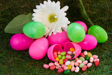 Pink and Green Easter Eggs with Jelly Beans on Daisy on Green Grass