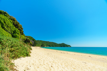 tropical beach in abel tasman national park, new zealand 55