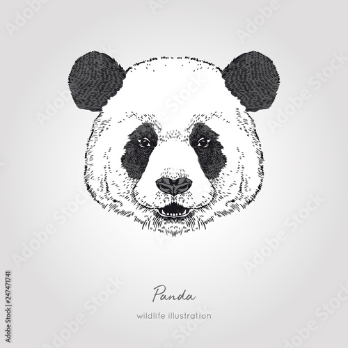 Featured image of post Panda Drawings Face - Very simply, for this, follow the an example of drawing panda for a child.